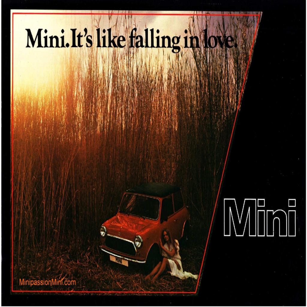 Mini 1000 and Special 1979 D preview image